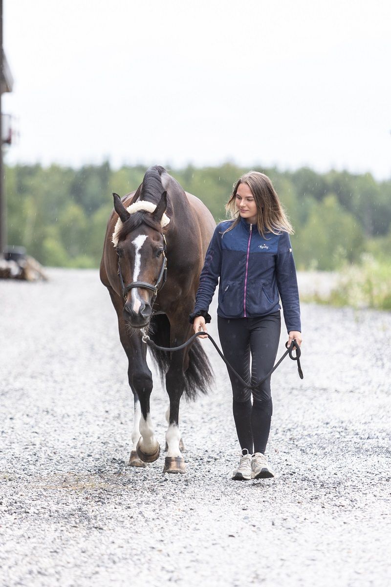 hest / Norges Rytterforbund