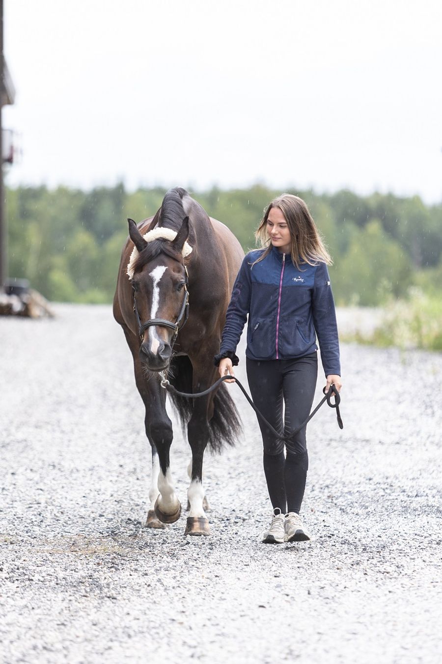 hest / Norges Rytterforbund