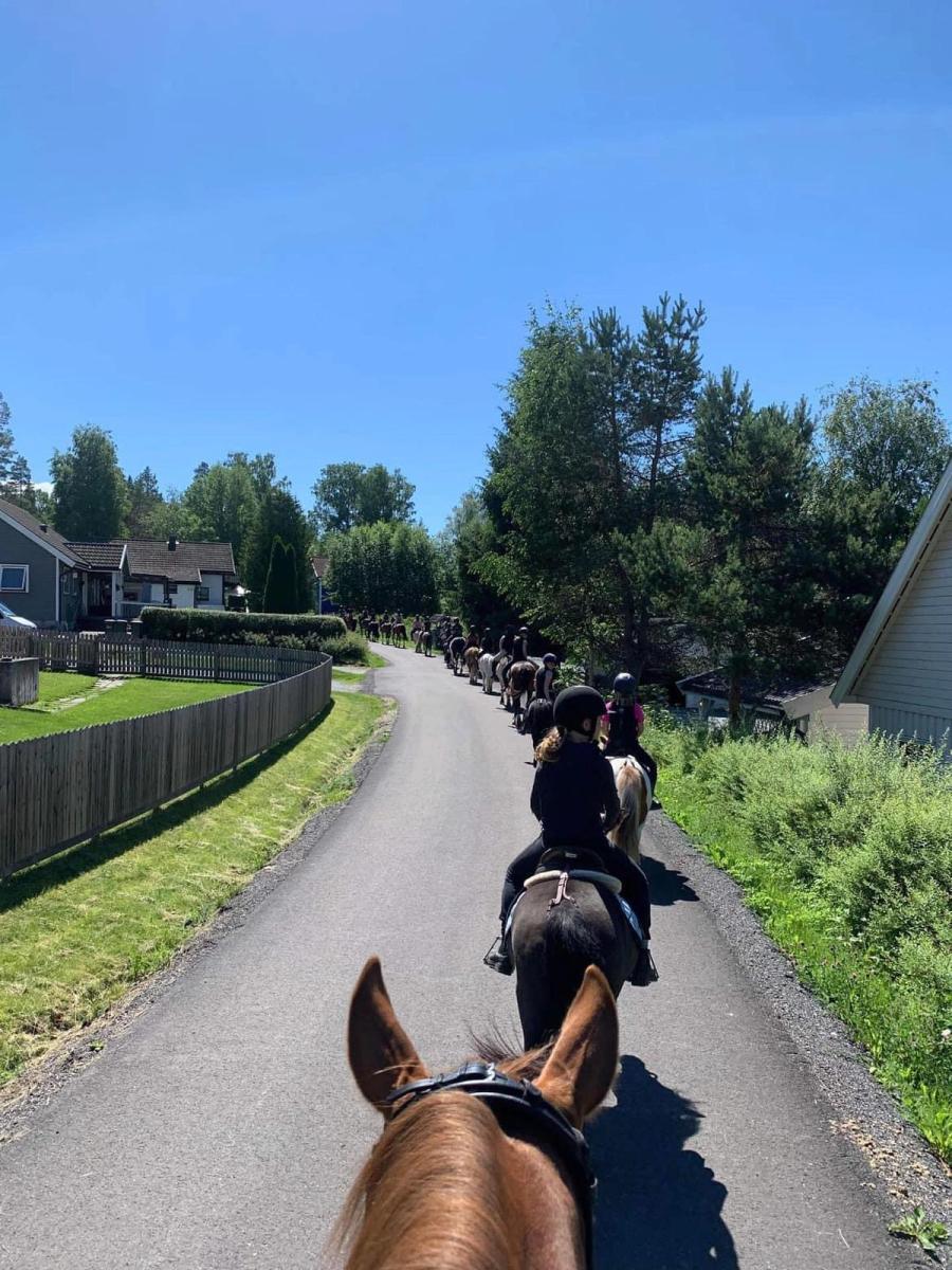 hest / Norges Rytterforbund