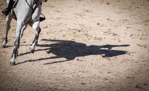 hest / Norges Rytterforbund