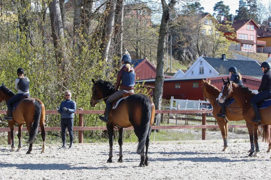  Norges Rytterforbund / hest / Trener 1