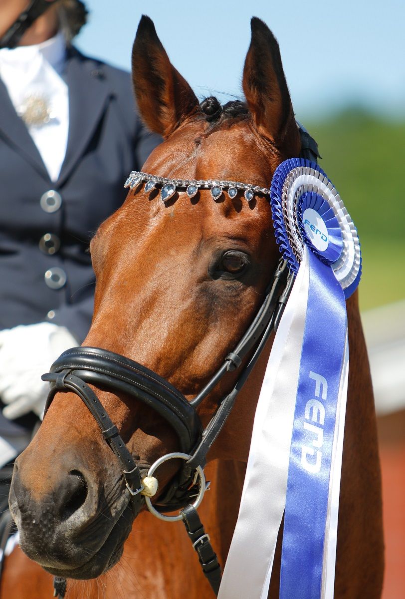 Ferd Comeback Cup / Rytterforbundet / Norsk Rytterforbund / NRYF