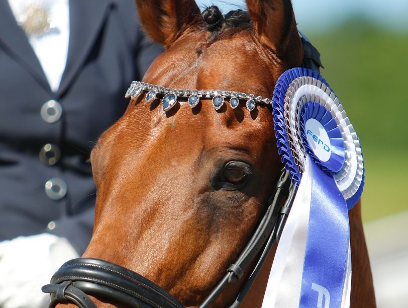 Hest / dressur / FERD Comeback Cup / Norges Rytterforbund