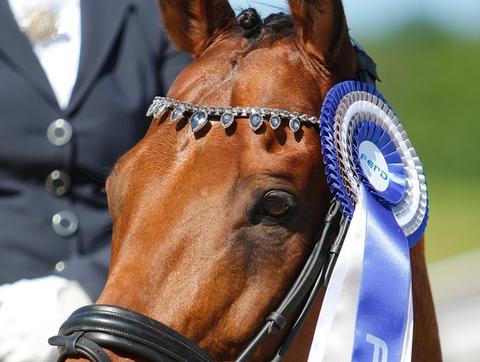 Hest / dressur / FERD Comeback Cup / Norges Rytterforbund