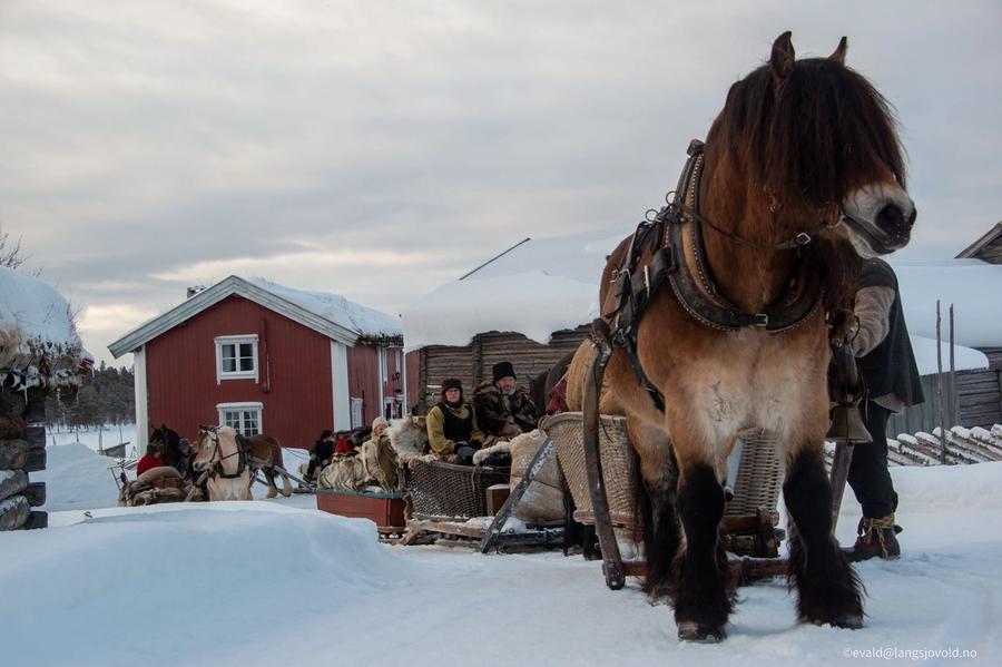 hest / Norges Rytterforbund / Lasskjøring / Rørosmartnan