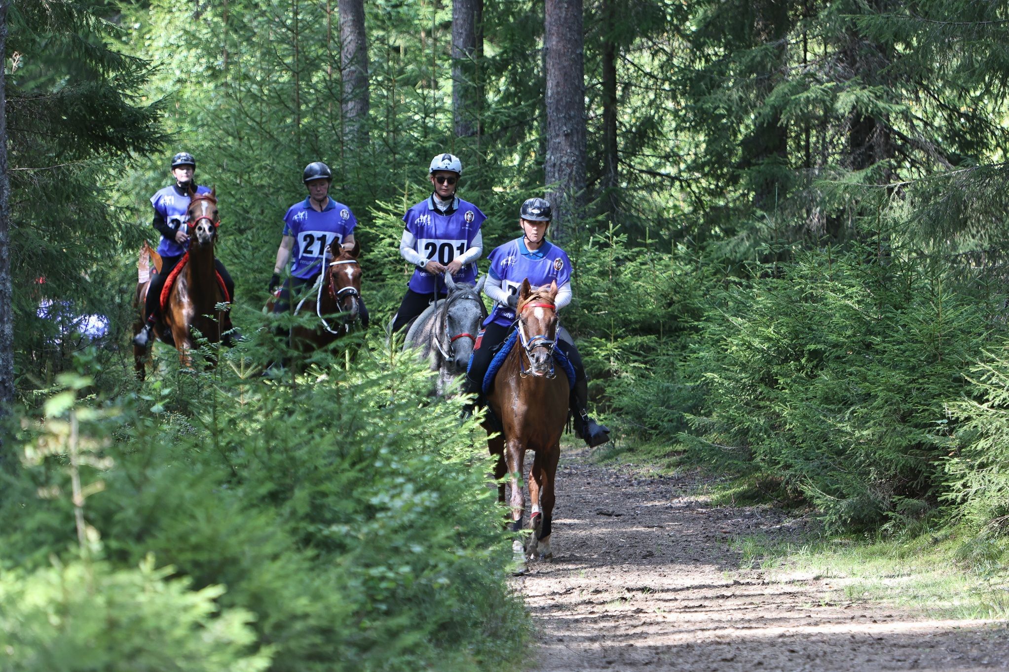 hest / Norges Rytterforbund / distanse