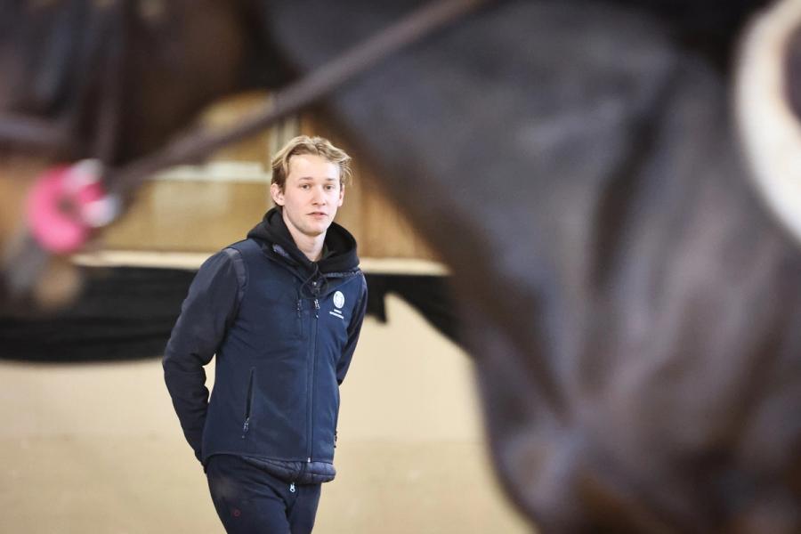 hest / Norges Rytterforbund / regiona samling