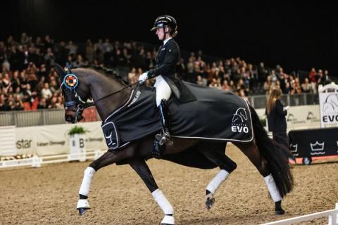 hest / Norges Rytterforbund