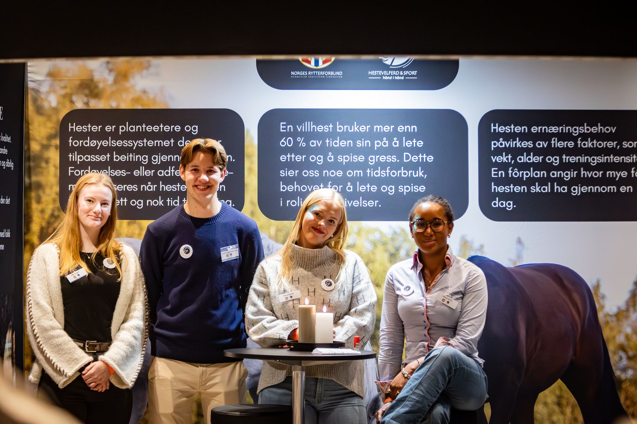 hest / hestevelferd for alle / Norges Rytterforbund