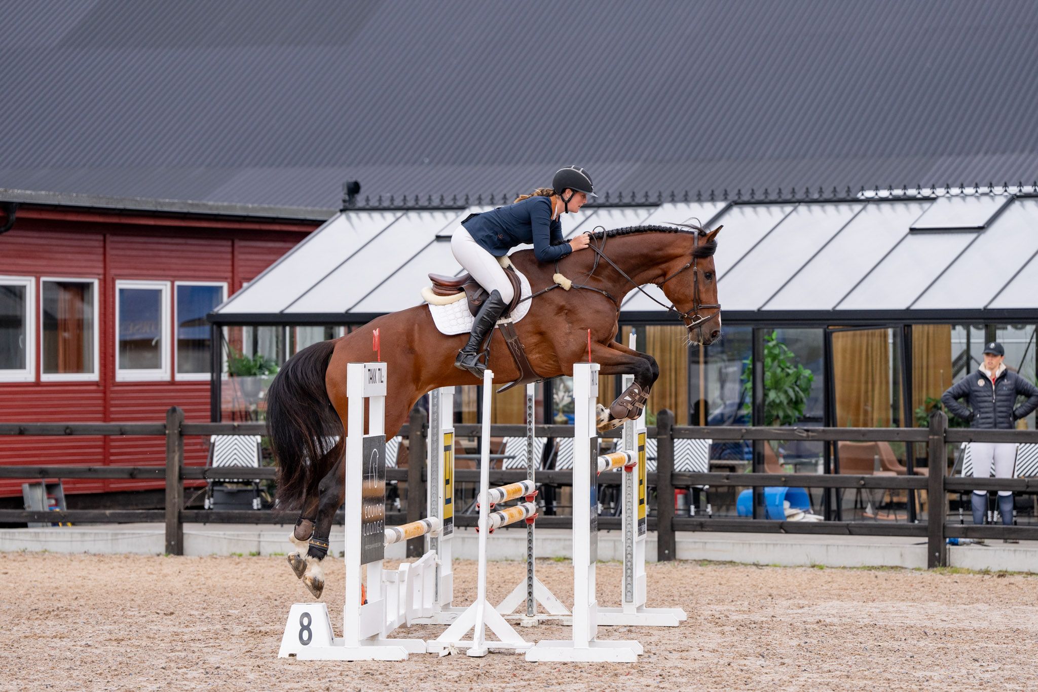 Rikke Budsberg og Stutteri B's Homeward Bound (Nixon van't Meulenhof x Ustinov, oppdretter Stutteri B) ble årets 5-årsvinnere av Norsk Breeders Trophy.