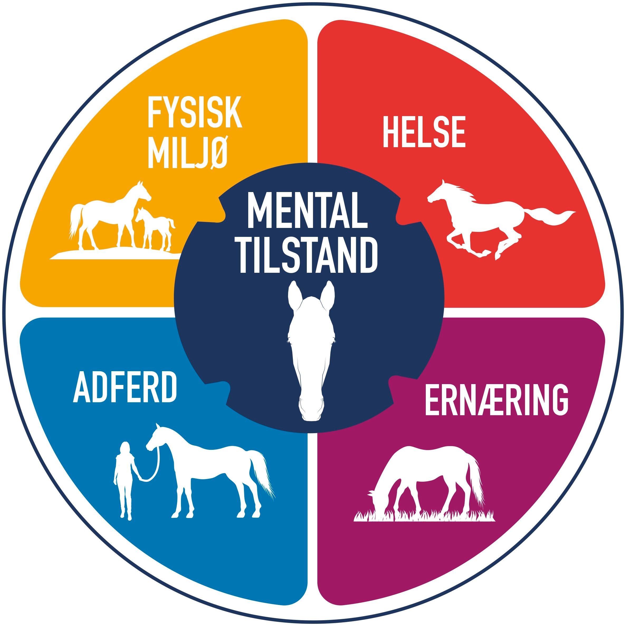 hest / Norges Rytterforbund / De fem domener
