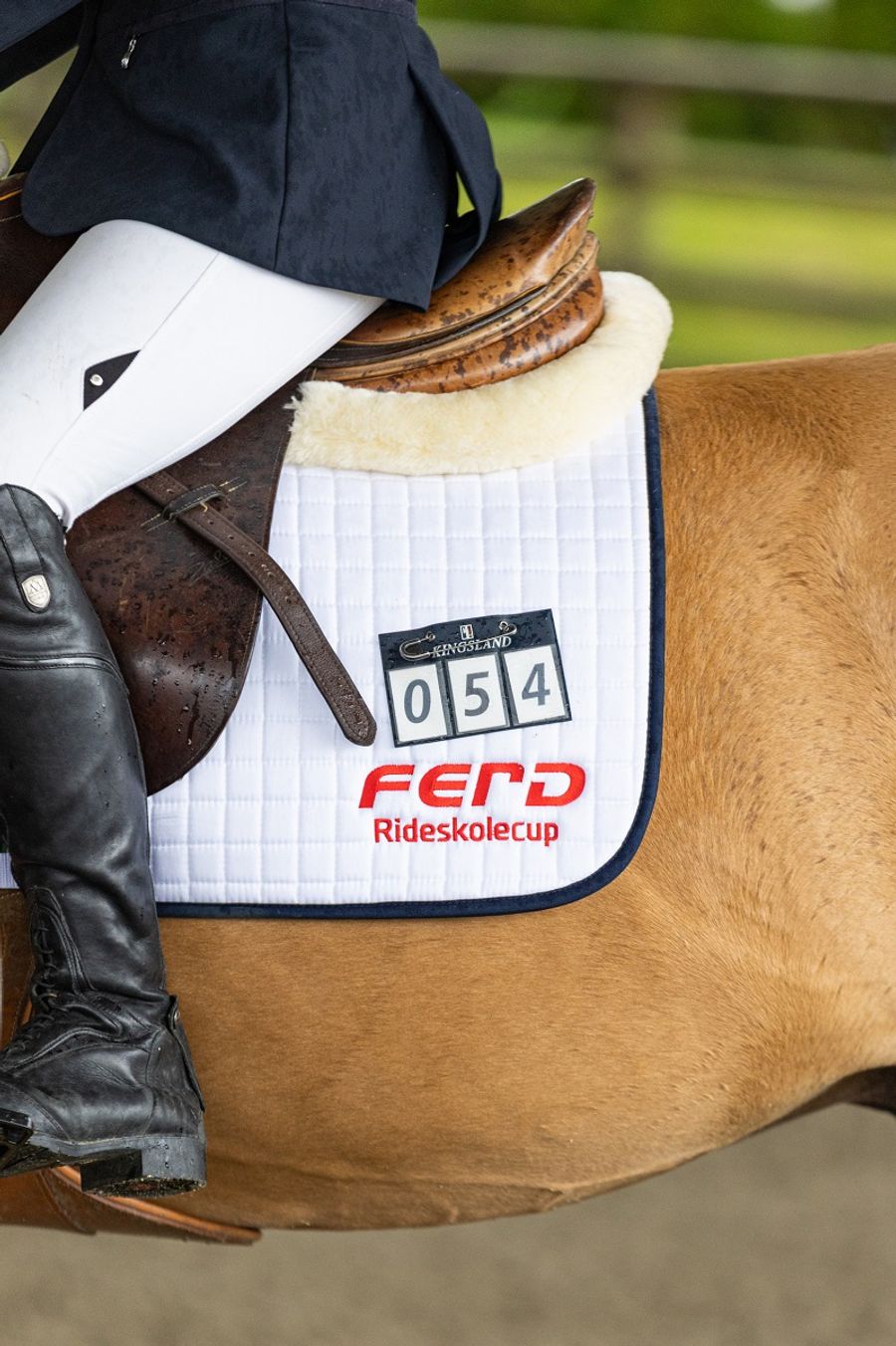 hest / Norges Rytterforbund