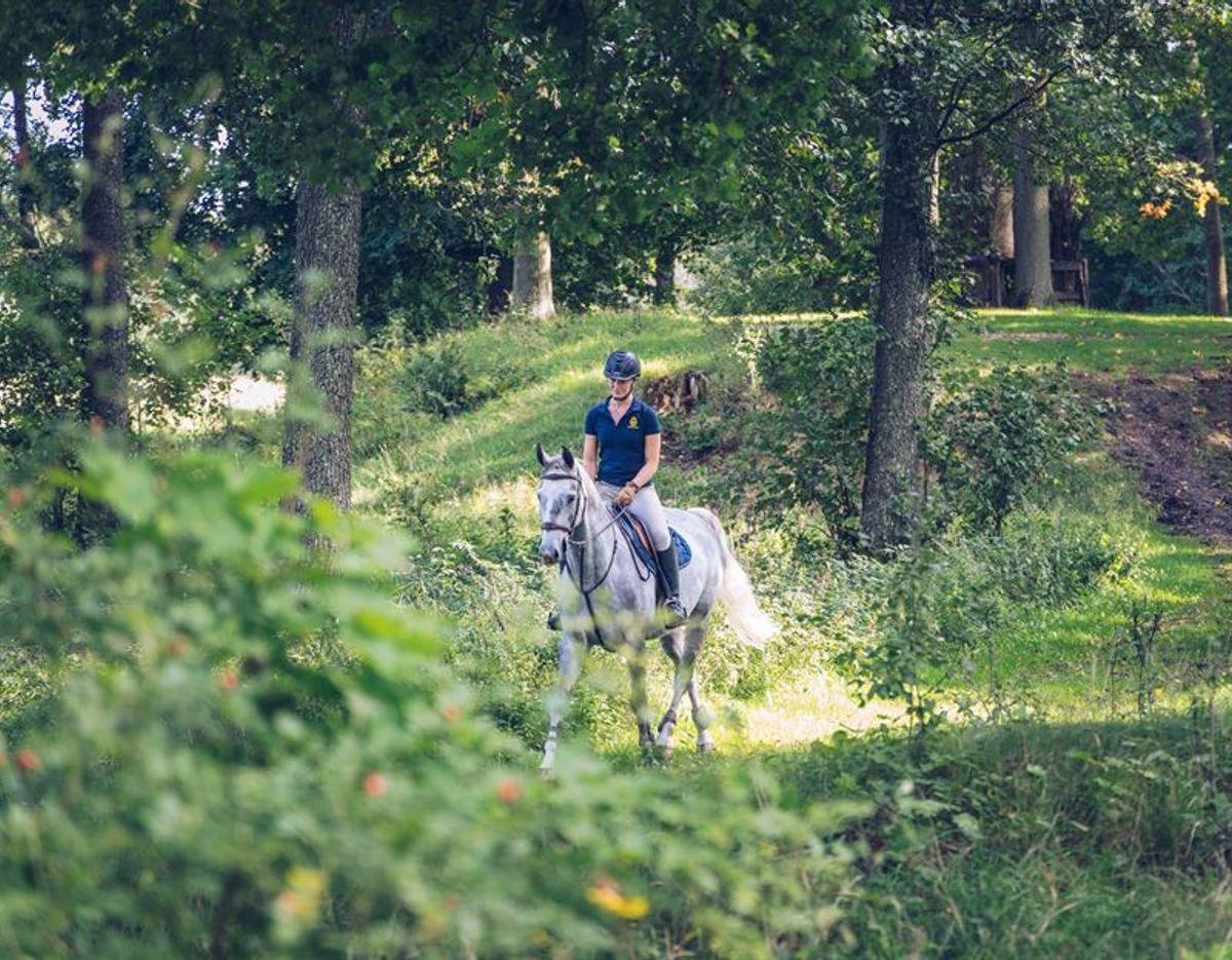 hest / Norges Rytterforbund