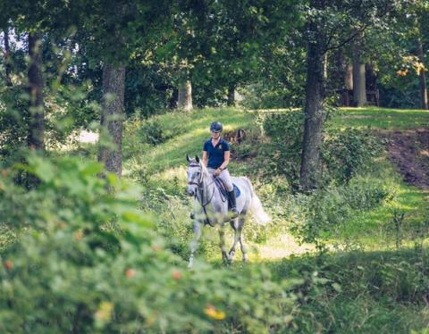 hest / Norges Rytterforbund