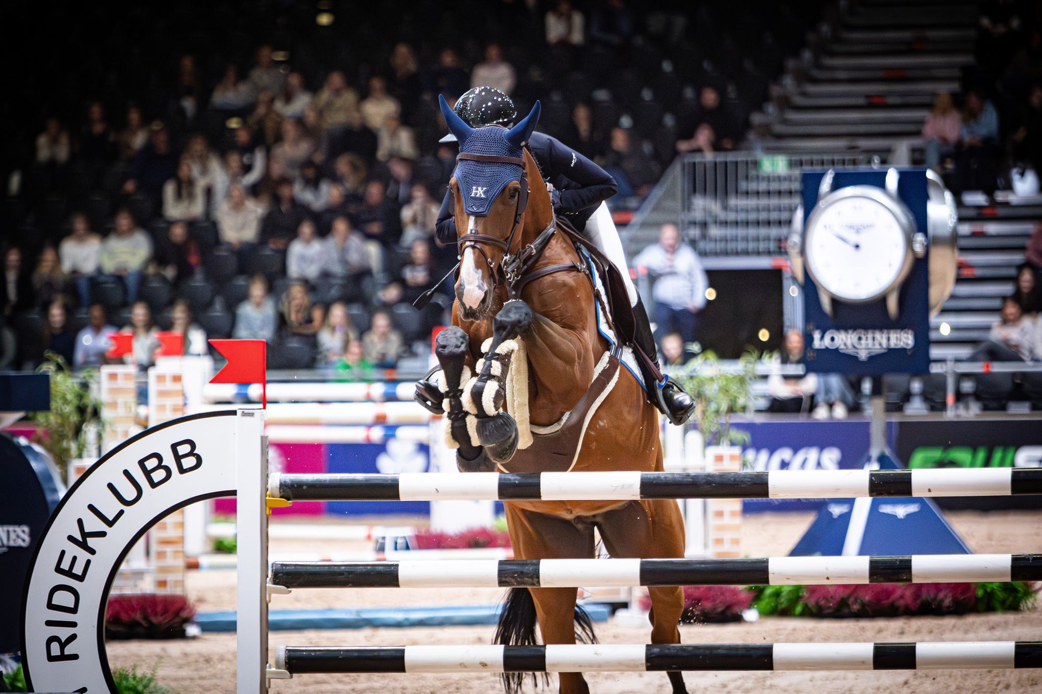 hest / Norges Rytterforbund / Oda Charlotte Lyngvær