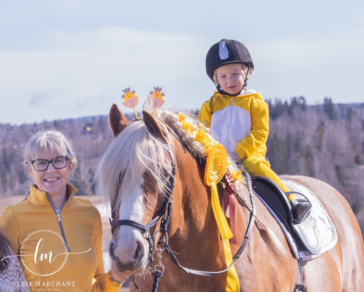 hest / Norges Rytterforbund / Bixie