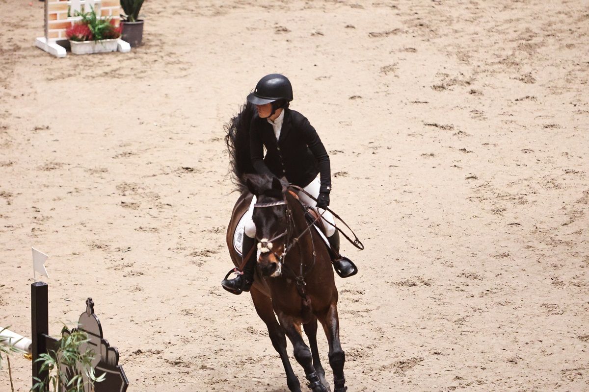 Victoria Gulliksen / hest / Norges Rytterforbund