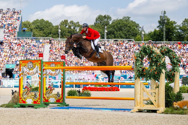 hest / Norges Rytterforbund