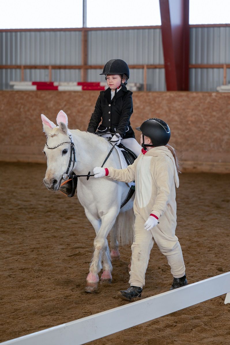 hest / Norges Rytterforbund / Bixie