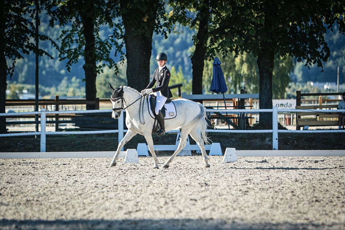 hest / Norges Rytterforbund