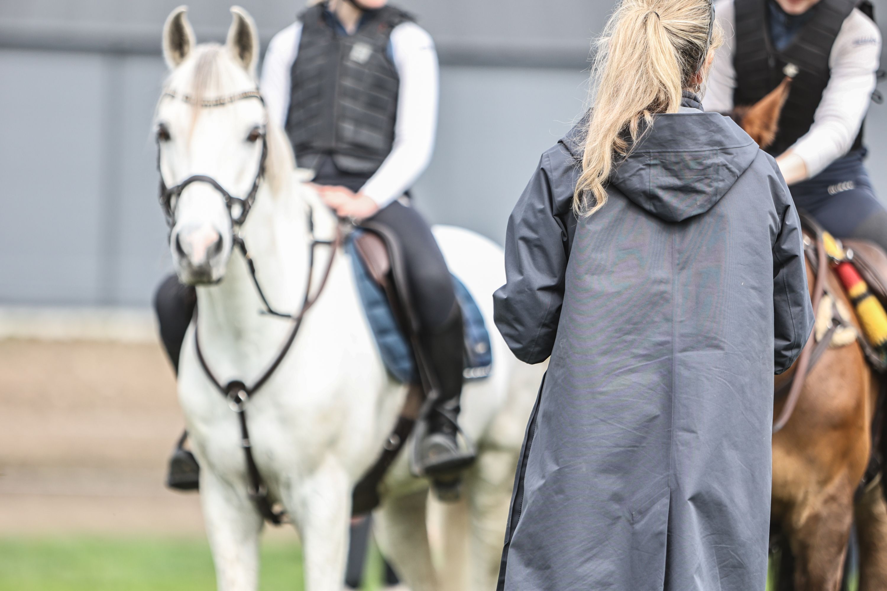 Trenerlisens / NRYF / Norges Rytterforbund / Rideklubb / Ridetrener