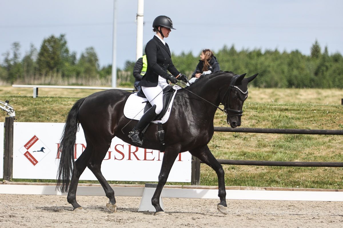 hest / Norges Rytterforbund