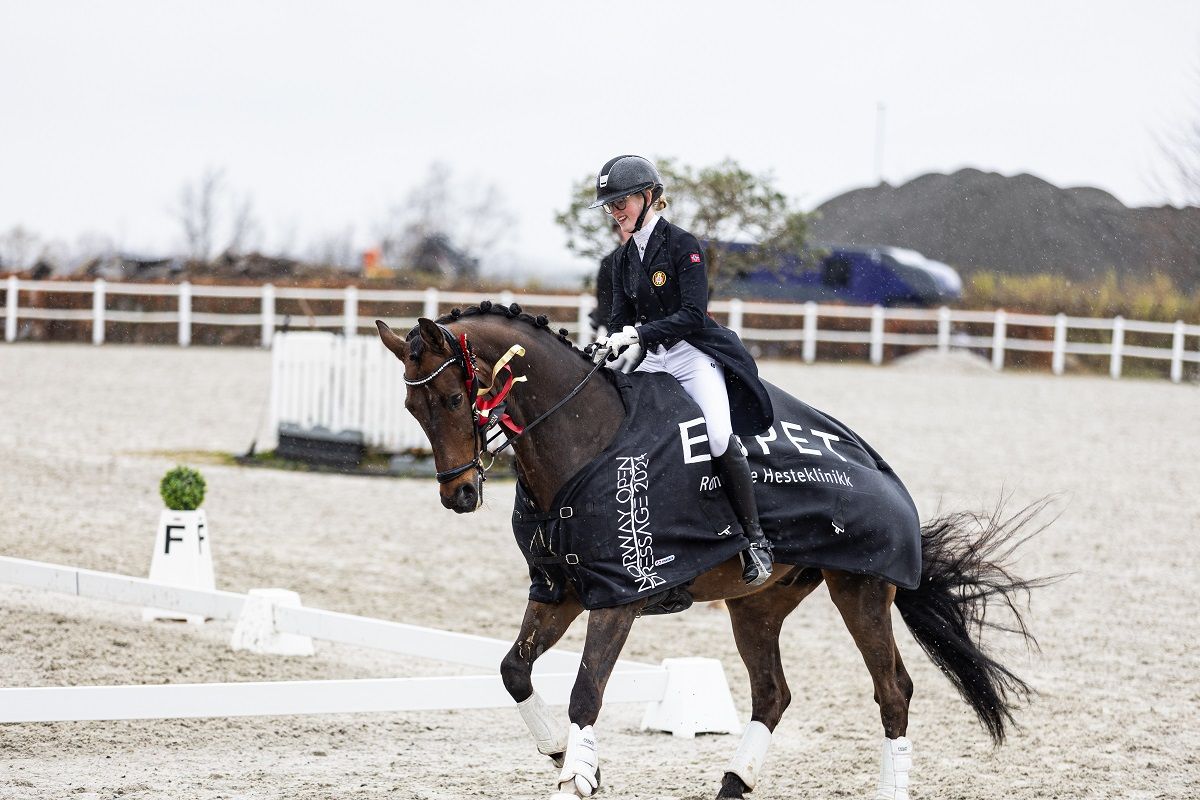 hest / Norges Rytterforbund