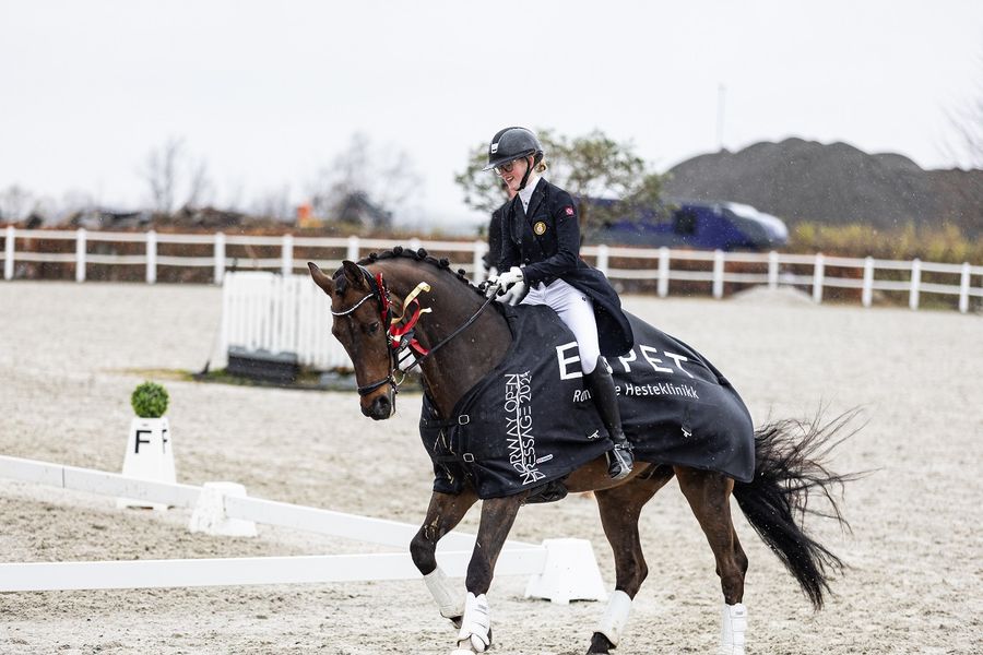 hest / Norges Rytterforbund