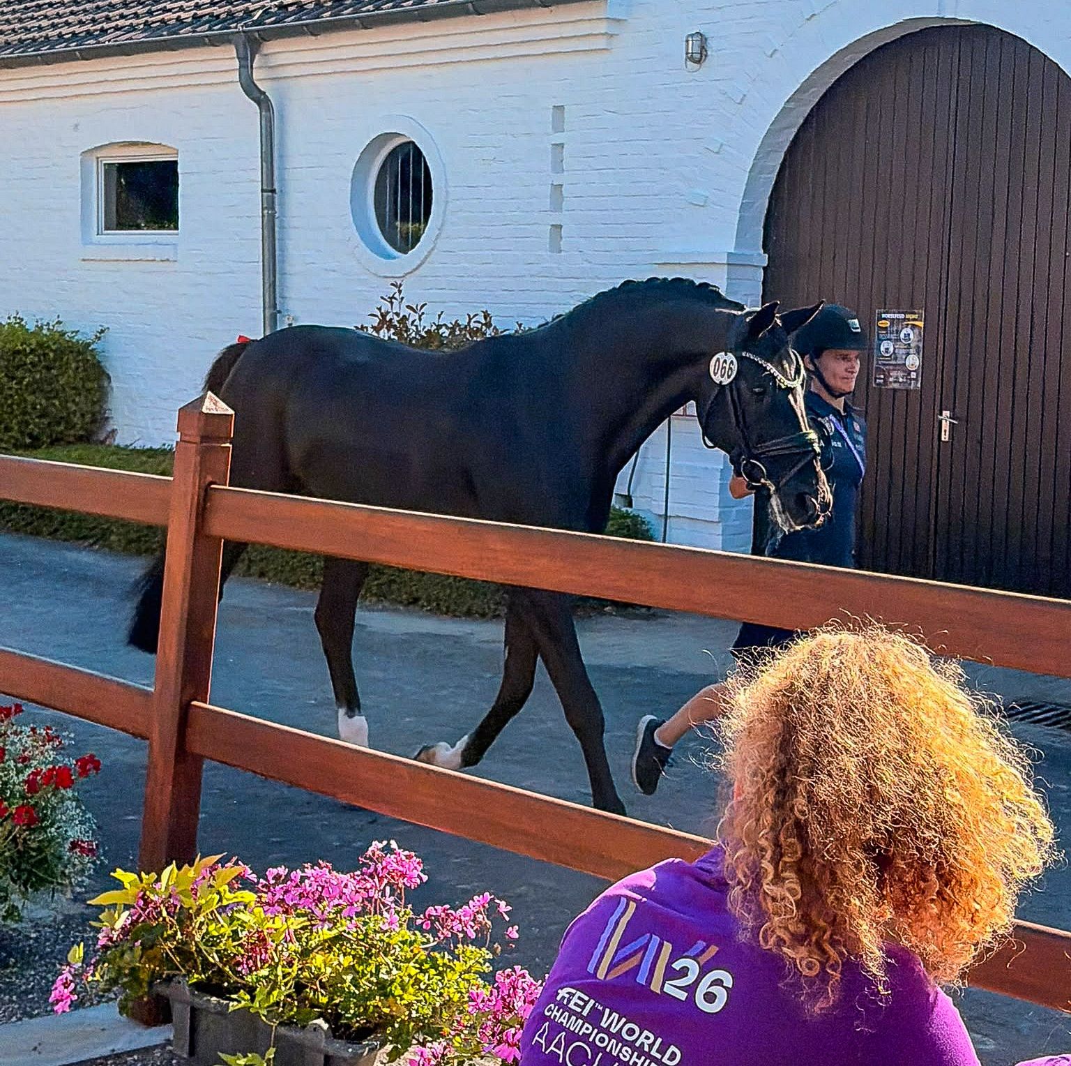 hest / Norges Rytterforbund / Isabel Freese
