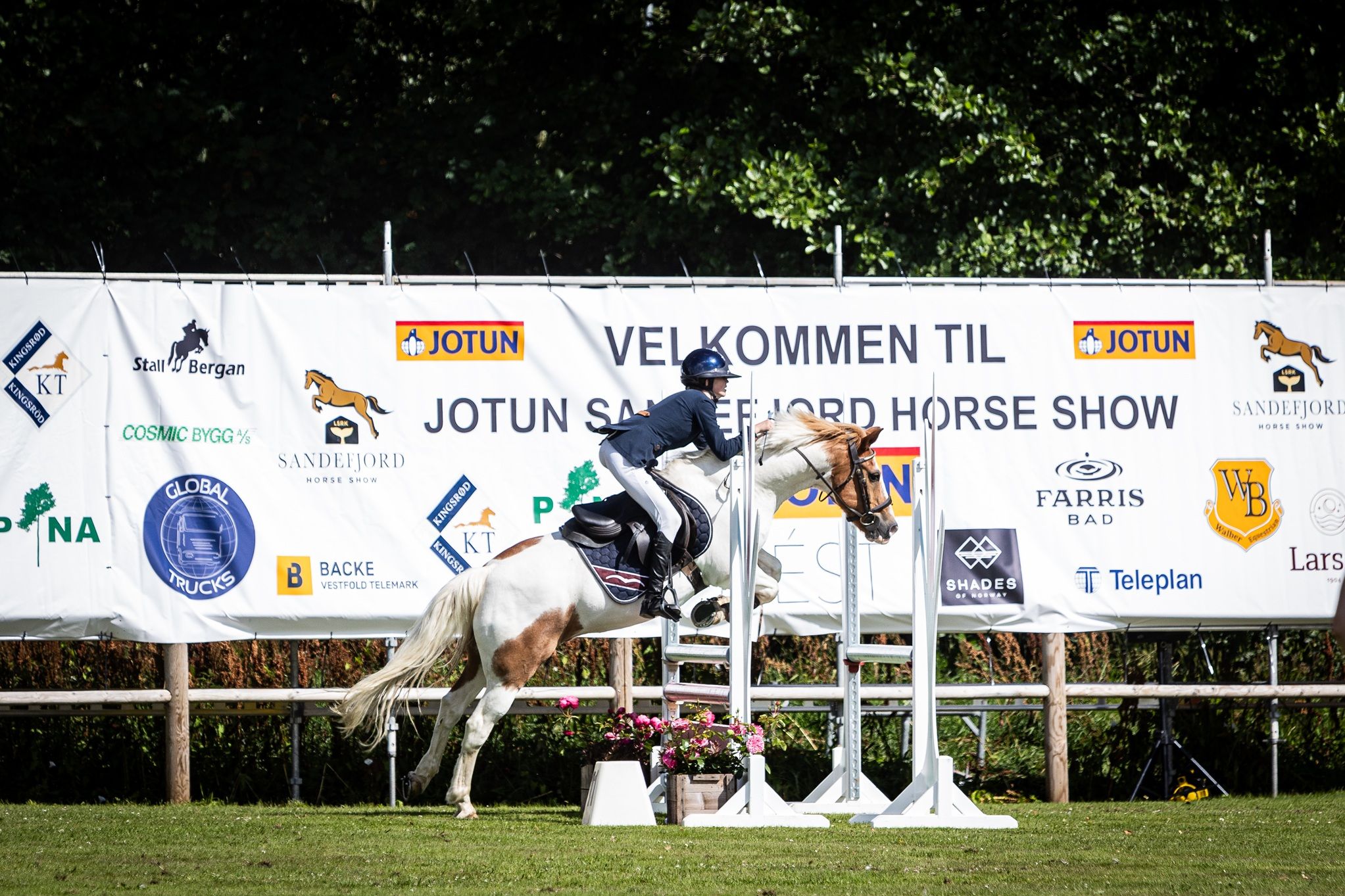 hest / Norges Rytterforbund / Sandefjord Horse Show