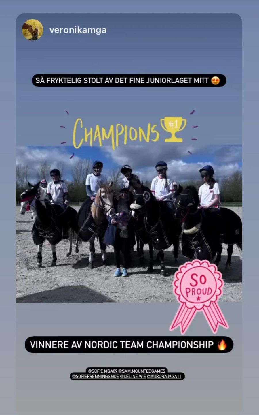 Norges Rytterforbund / hest