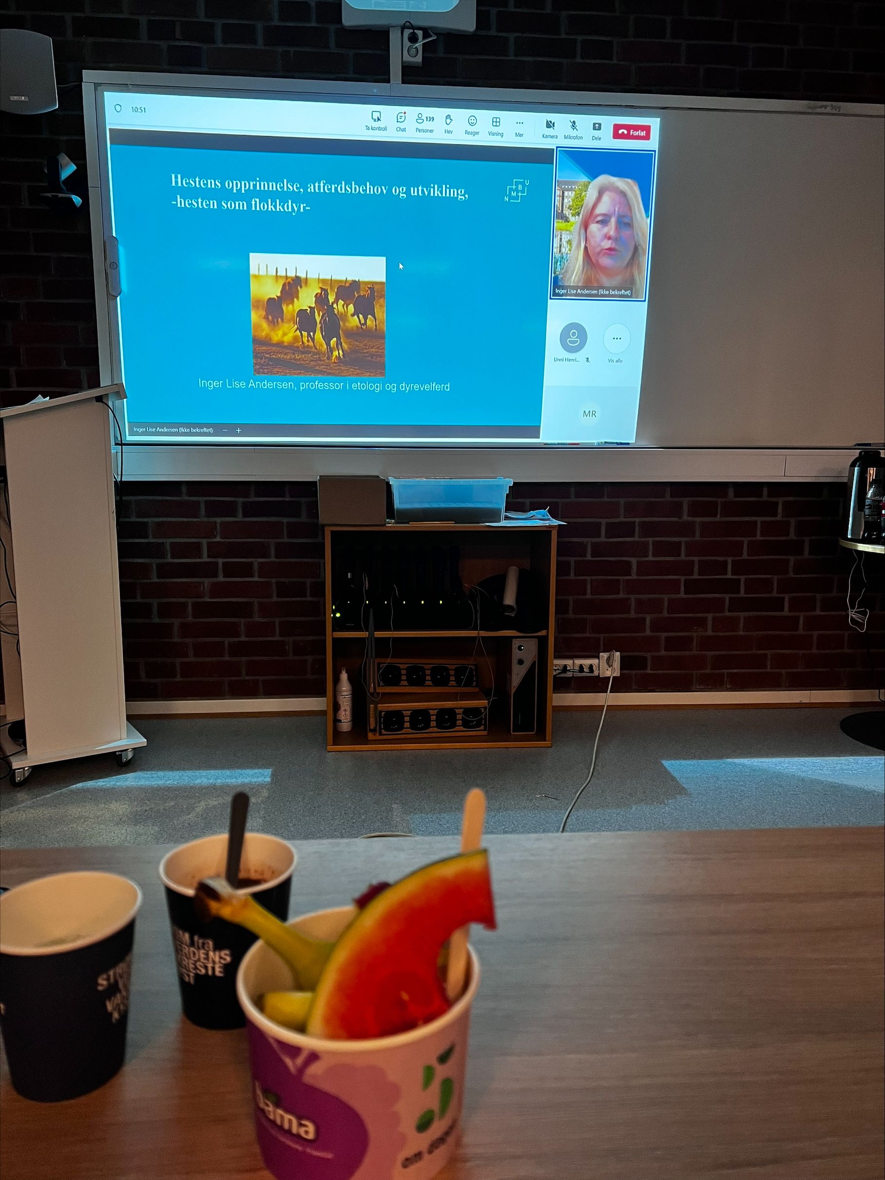 hest / Norges Rytterforbund