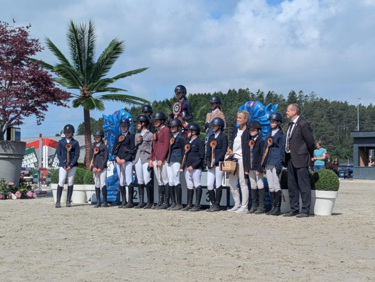 hest / Norges Rytterforbund 