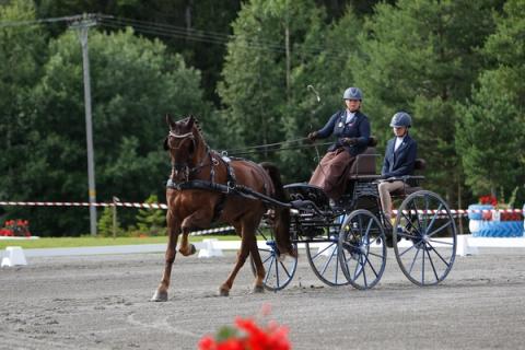 hest / Kjøring / Maria Henriksson / Norges Rytterforbund