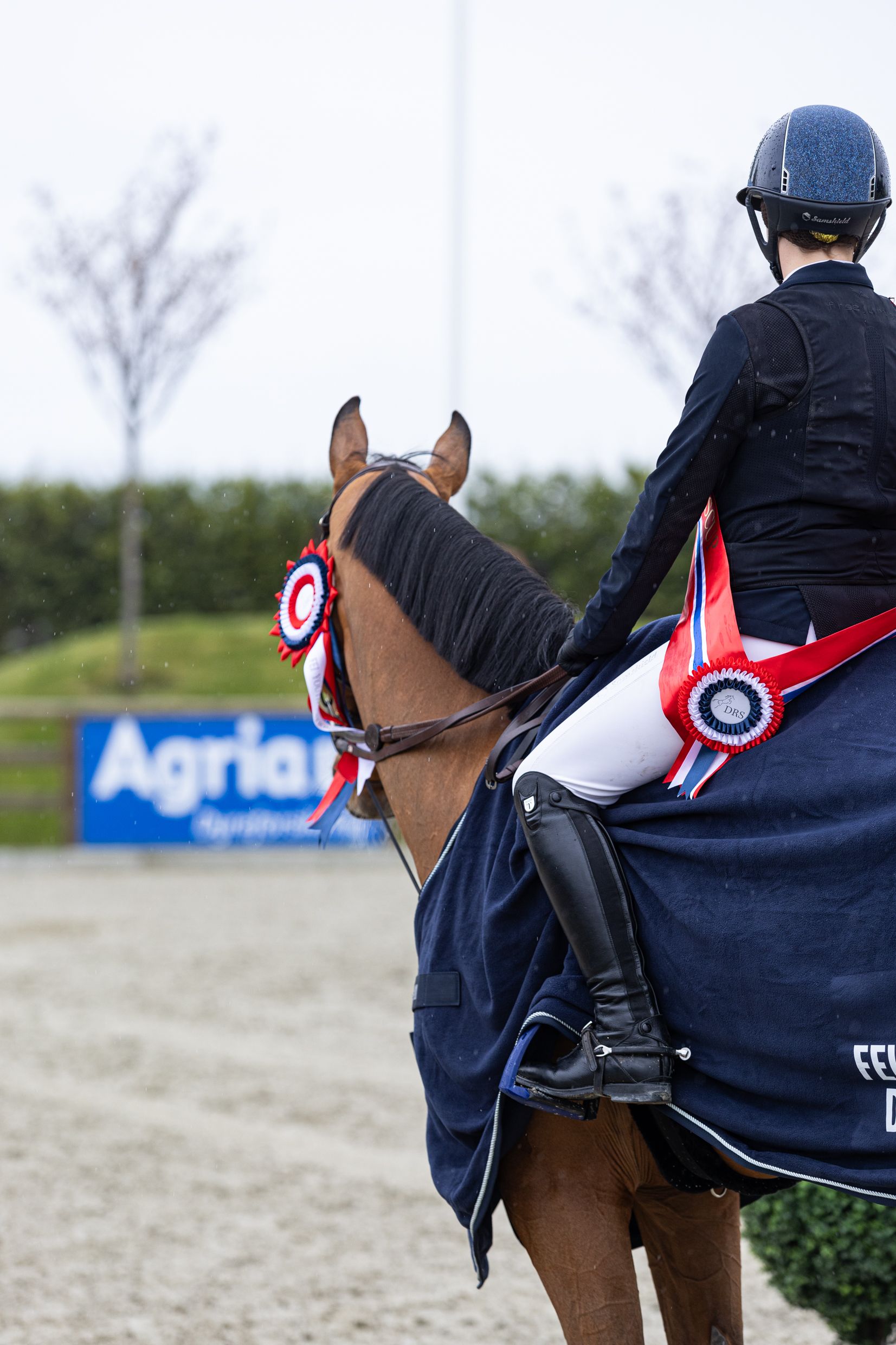 hest / Norges Rytterforbund