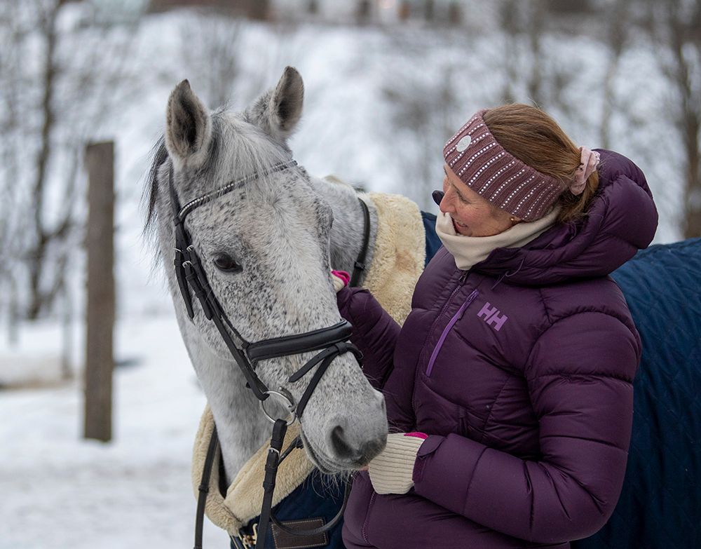 Comeback Cup / hest / Norges Rytterforbund
