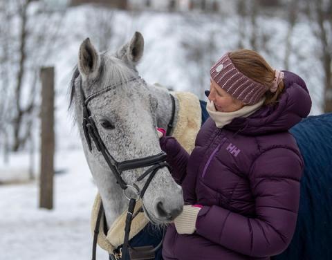 Comeback Cup / hest / Norges Rytterforbund