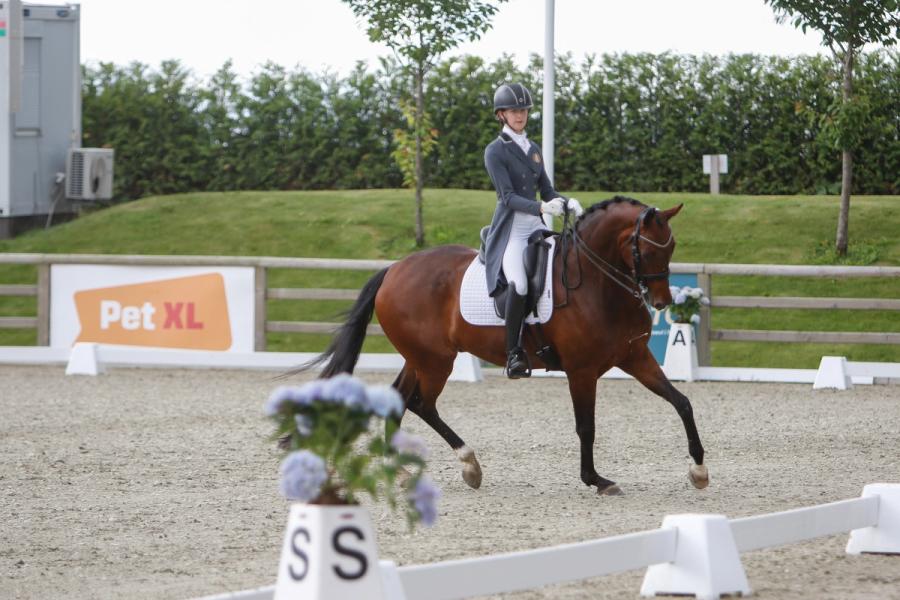 Juni Bødtker Næss / Hest / dressur / Norges Rytterforbund