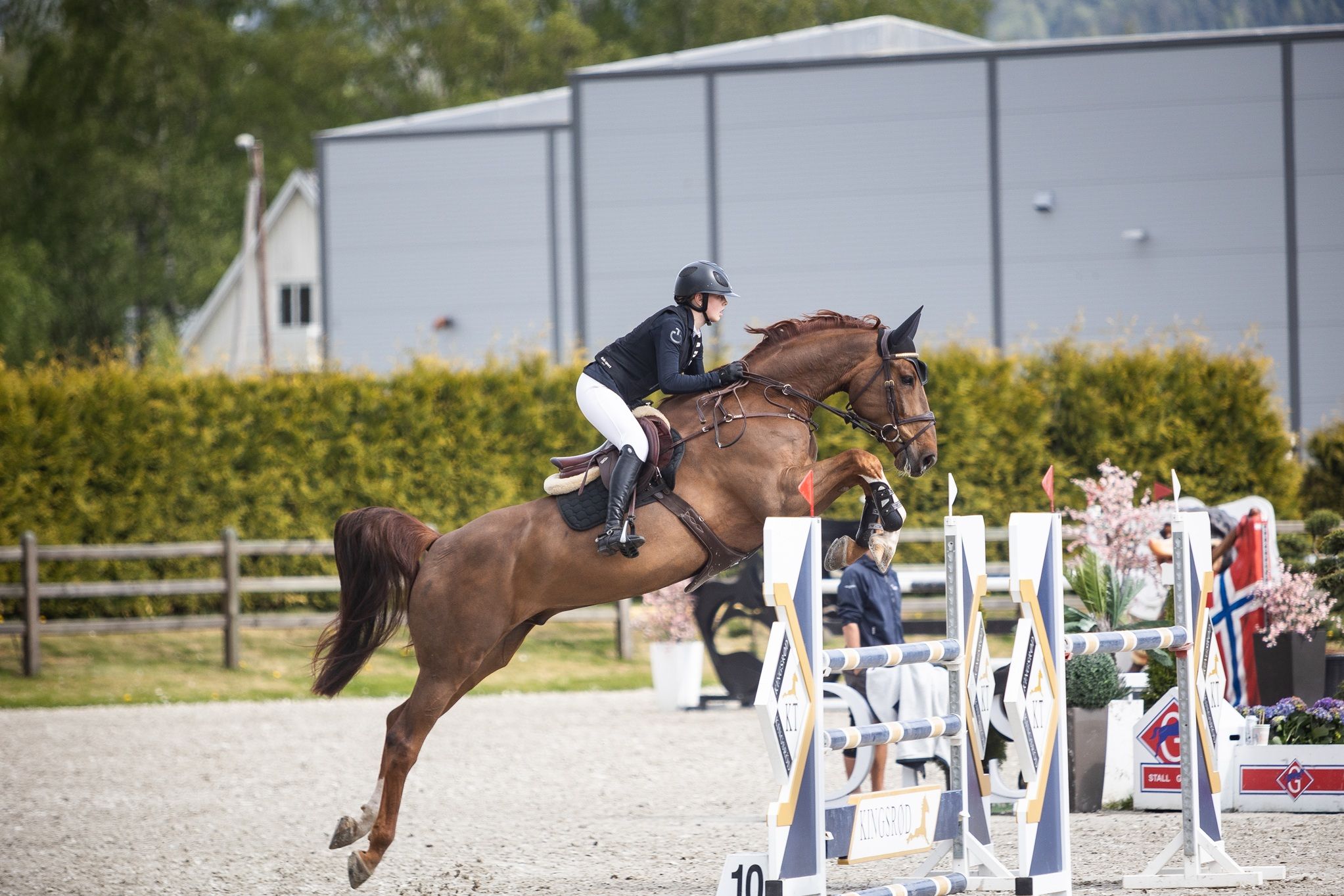 hest / Norges Rytterforbund