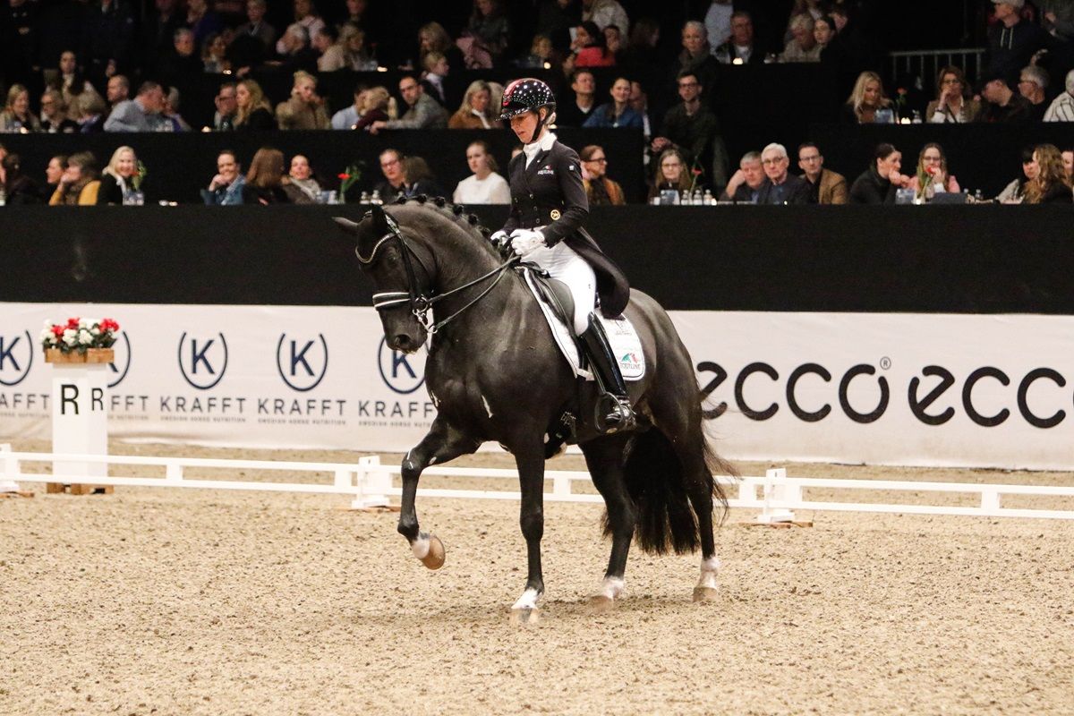 hest / Norges Rytterforbund / Isabel Freese