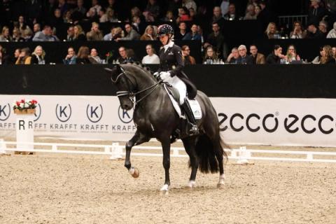 hest / Norges Rytterforbund / Isabel Freese