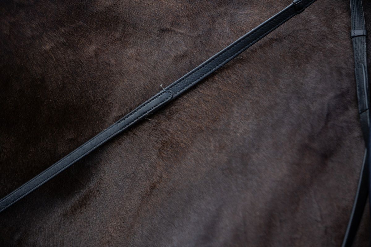 hest / Norges Rytterforbund 