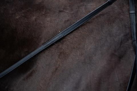 hest / Norges Rytterforbund