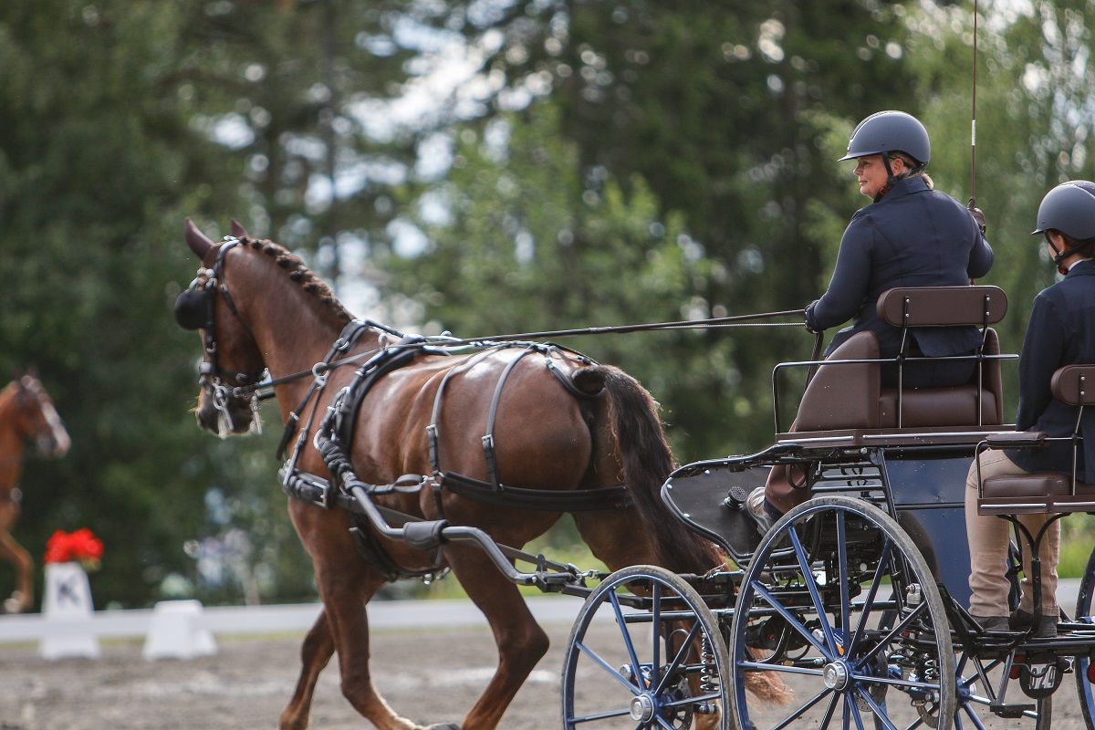 hest / Norges Rytterforbund