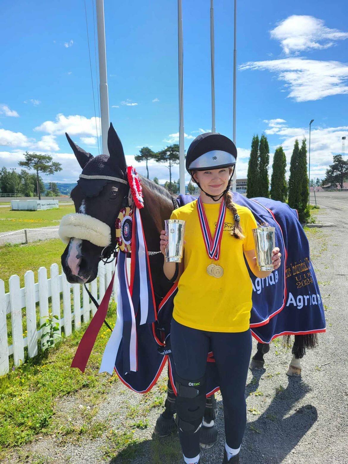 hest / Norges Rytterforbund