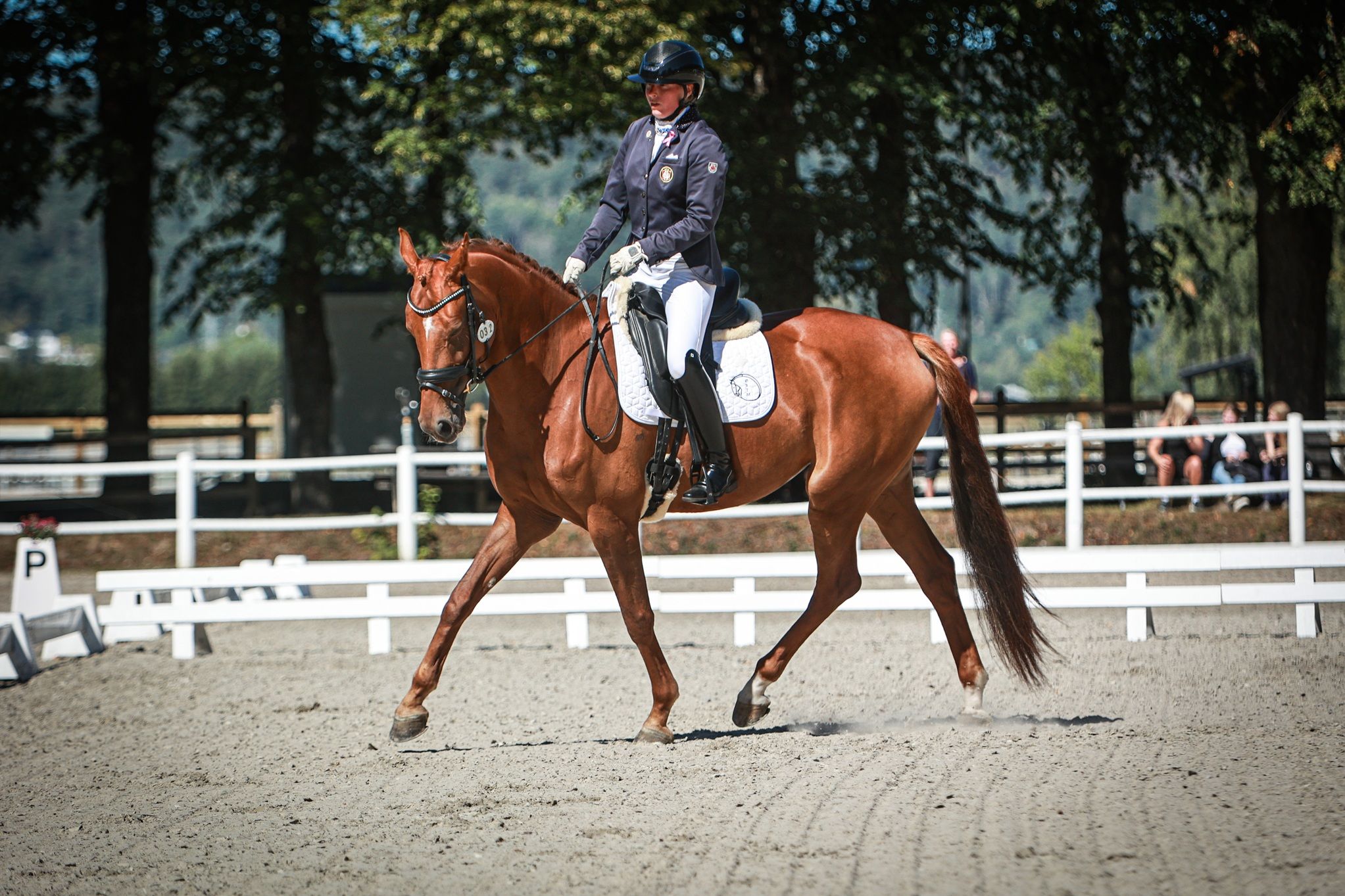 hest / Norges Rytterforbund / Paradressur / Ine Nyhuus