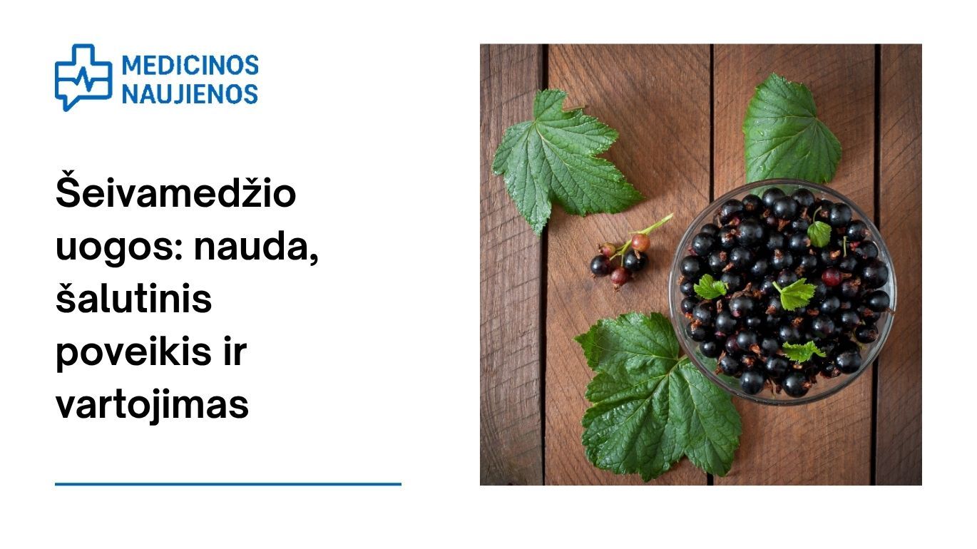 Šeivamedžio uogos: nauda, šalutinis poveikis, mitybos faktai, naudojimas ir dar daugiau
