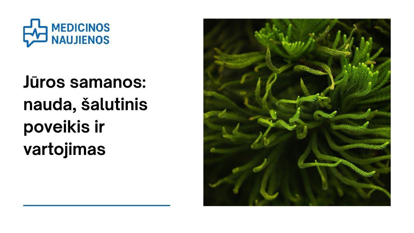 Jūros samanos: nauda, šalutinis poveikis, mitybos faktai, panaudojimas ir dar daugiau