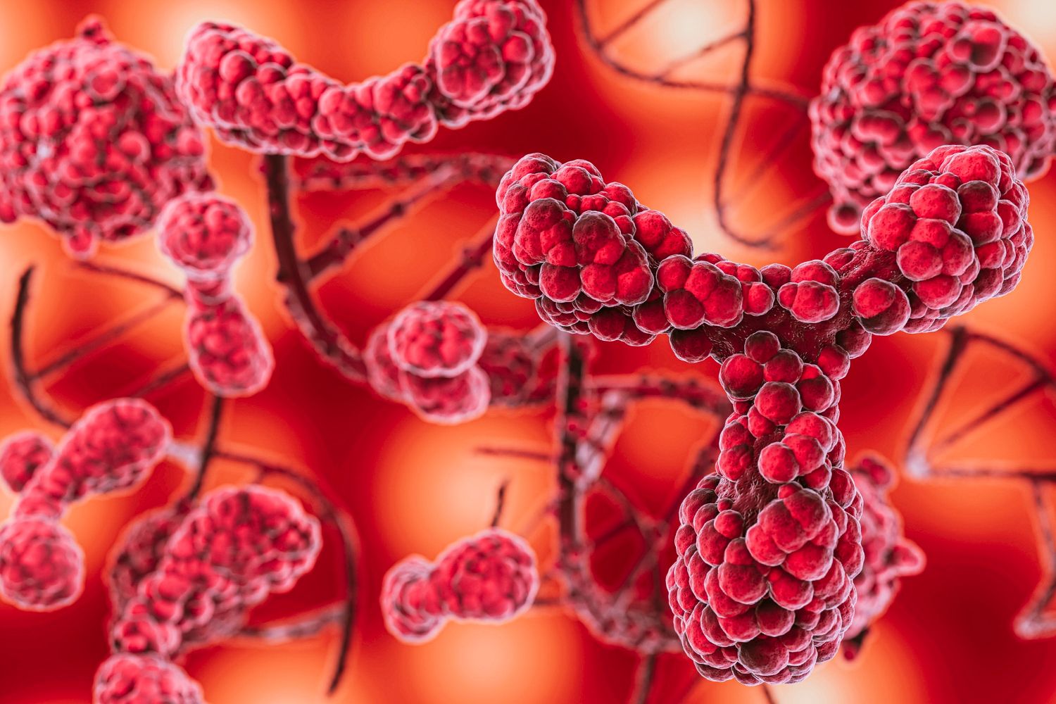Lėtinė mieloidinė leukemija: Simptomai, priežastys, gydymas, prevencija.