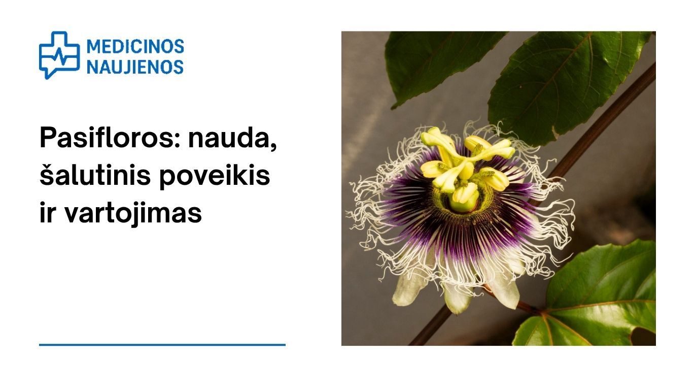 Pasifloros: nauda, šalutinis poveikis, mitybos faktai, naudojimas ir dar daugiau